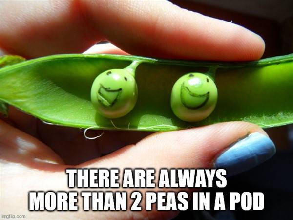 Funny Shower Thoughts #8 (35 photos)