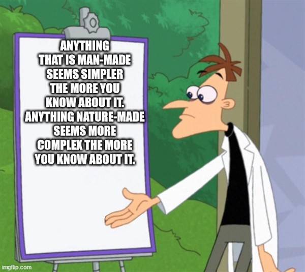 Funny Shower Thoughts #5 (40 photos)