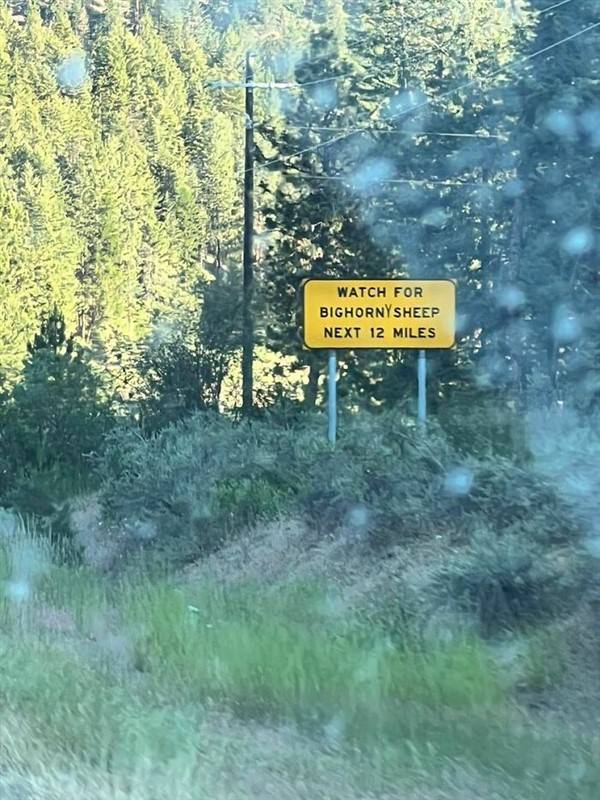 funny signs 27