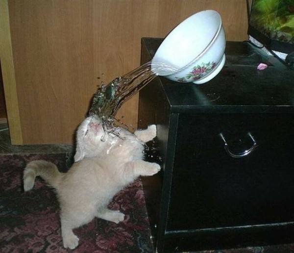 perfectly timed photos 13 Perfectly Timed Photos #2