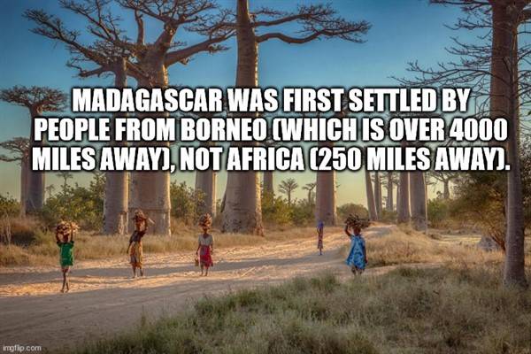 cool facts 15 1 It’s Time For Some Cool And Interesting Facts #286 (48 photos)