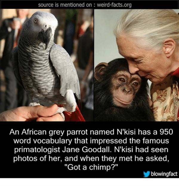 It’s Time For Some Cool And Interesting Facts #284 (44 photos)