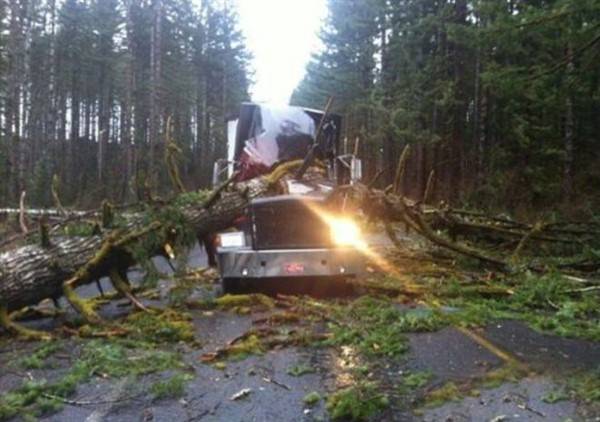 driving fails 18 2