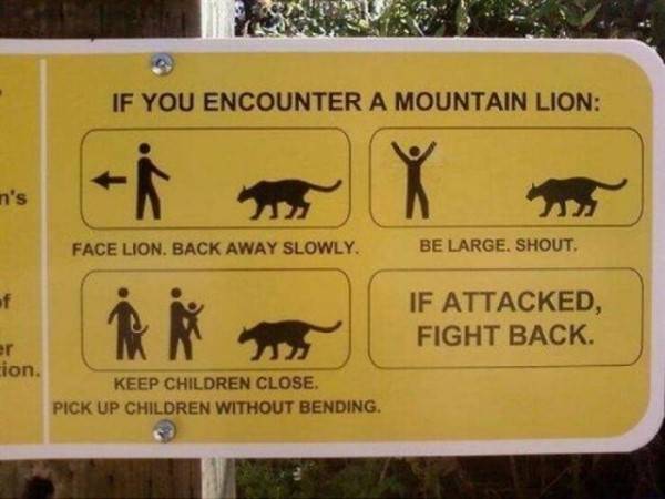 funny signs 28