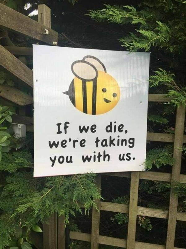 Funny Signs #3 (35 photos)