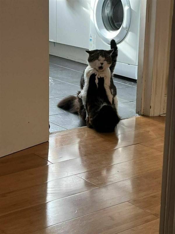 klyker picdump random images 20 2 Klyker Picdump (51 photos)