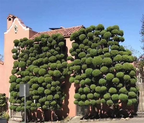 klyker picdump random images 37 2 Klyker Picdump (51 photos)