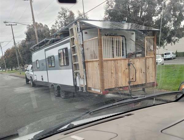 klyker picdump random images 41 2 Klyker Picdump (51 photos)