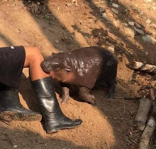 klyker picdump random images 49 2 Klyker Picdump (51 photos)