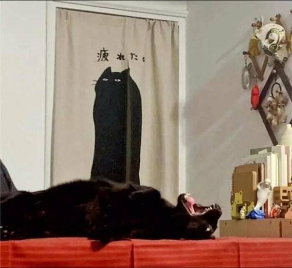 klyker picdump random images 51 2 Klyker Picdump (51 photos)