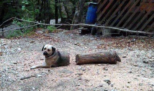 Look Twice #5 (43 photos)