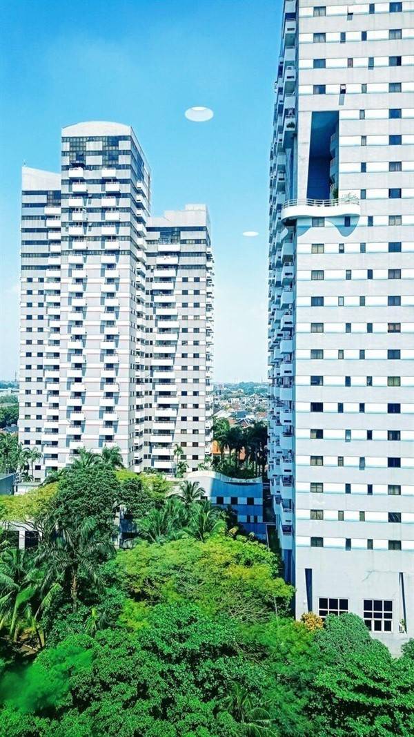 Look Twice #5 (43 photos)