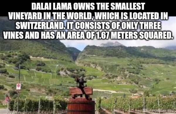 interesting facts 24 1
