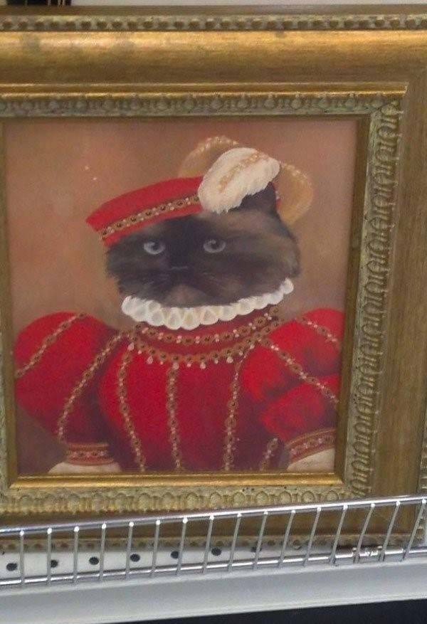 thrift store things 2 1