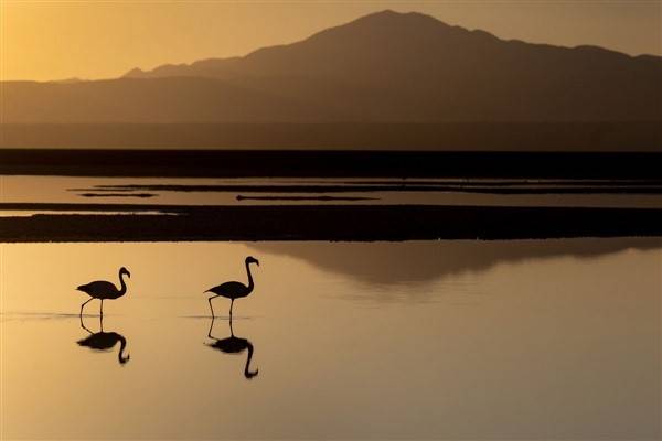 awesome pictures 13 1 Awesome Pictures You Shouldn’t Miss #19 (42 photos)