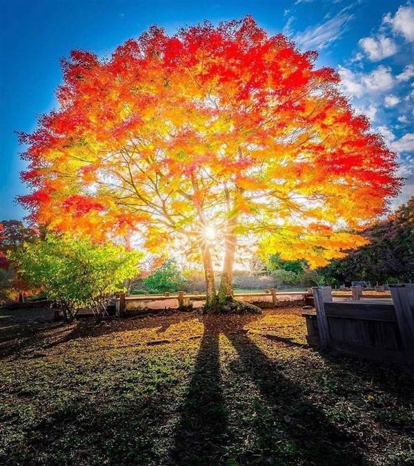 awesome pictures 6 1 Awesome Pictures You Shouldn’t Miss #19 (42 photos)