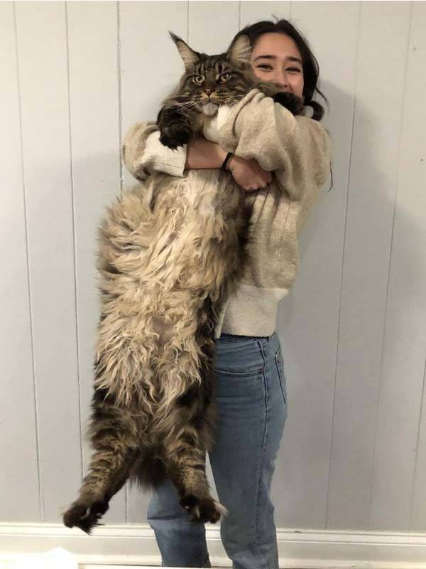Well, That’s Really Big #5 (36 photos)