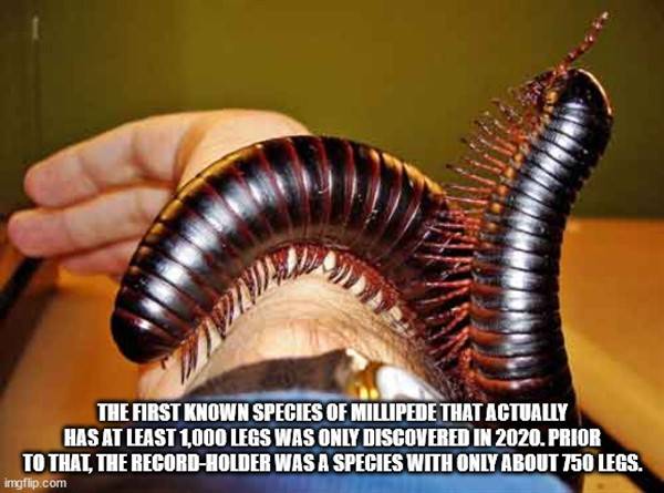 It’s Time For Some Cool And Interesting Facts #296 (43 photos)