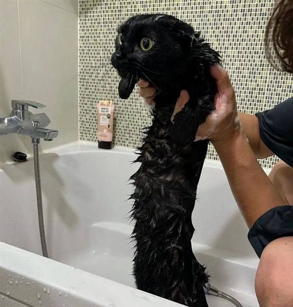 klyker funny picdump 6 1 Klyker Picdump #1059 (52 photos)