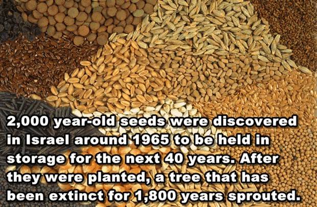 It’s Time For Some Cool And Interesting Facts #299 (44 photos)