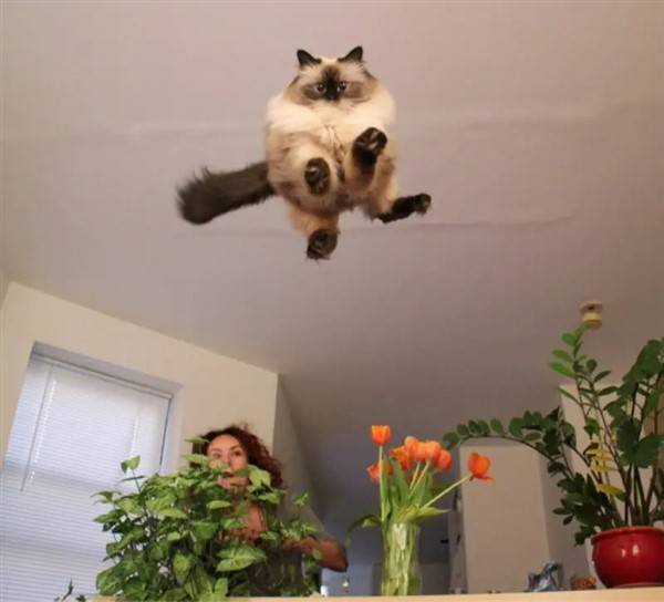 random fun pics klyker picdump 23 Klyker Picdump #1066 (54 photos)