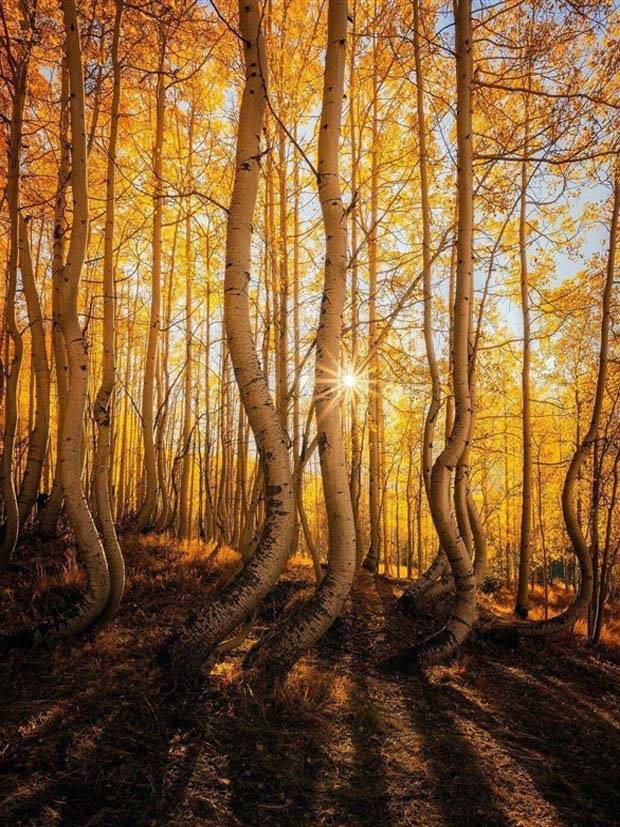 Awesome Pictures You Shouldn’t Miss #29 (40 photos)