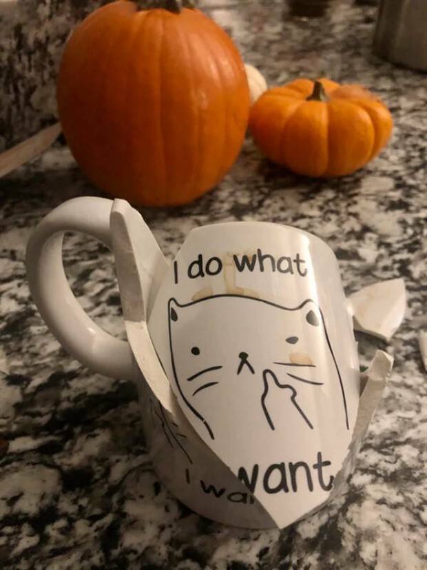 Shit Happens Regularly #204 (41 photos)