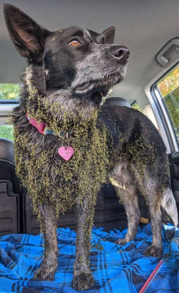 Shit Happens Regularly #204 (41 photos)