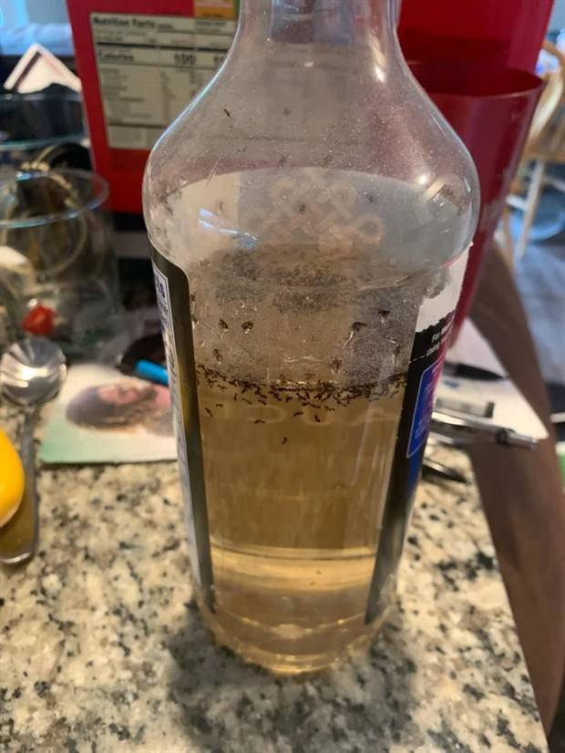 Shit Happens Regularly #204 (41 photos)