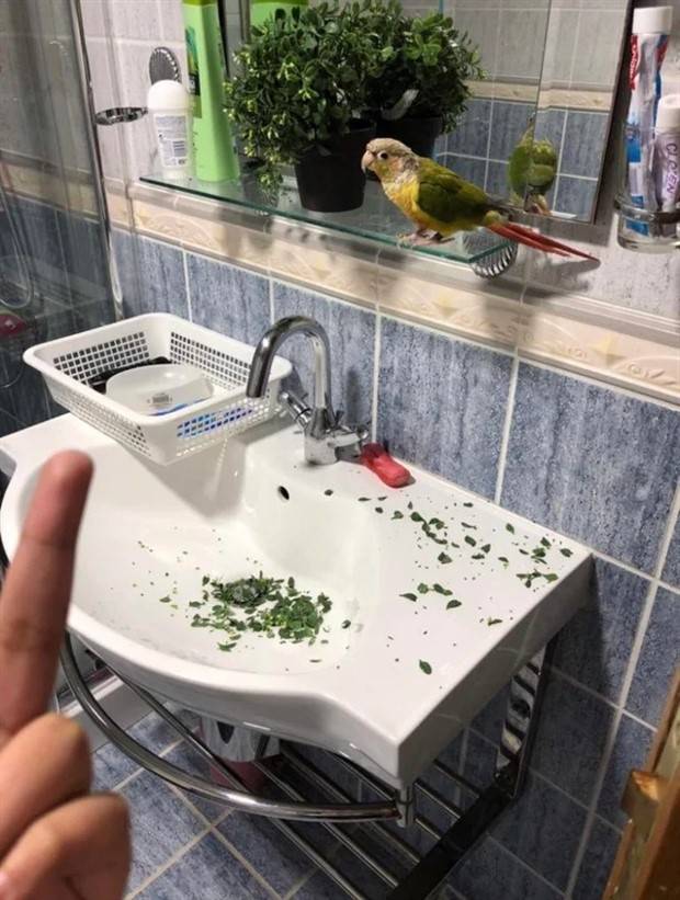 Shit Happens Regularly #204 (41 photos)