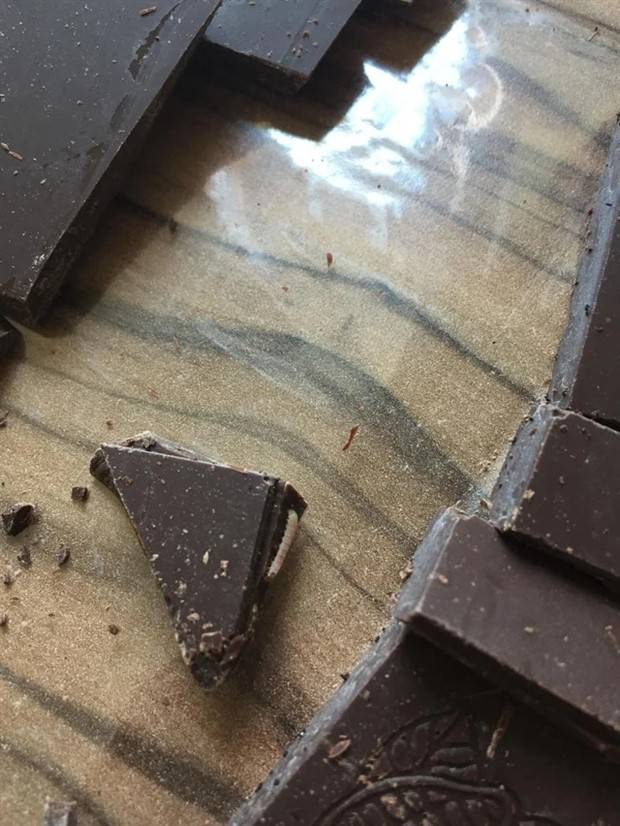 Shit Happens Regularly #204 (41 photos)