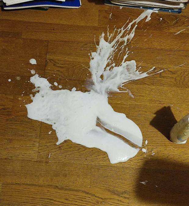 Shit Happens Regularly #204 (41 photos)