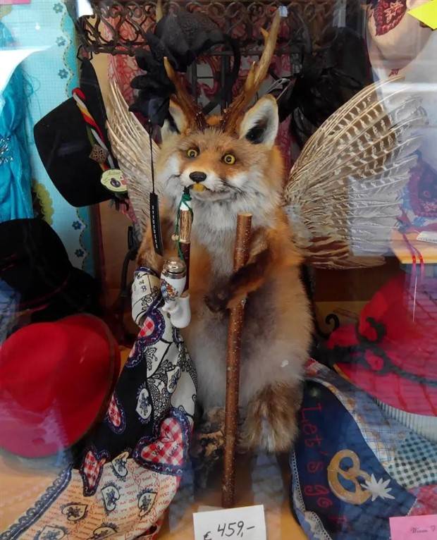 44 Terribly Bad Taxidermy Jobs (44 photos)