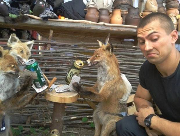 44 Terribly Bad Taxidermy Jobs (44 photos)