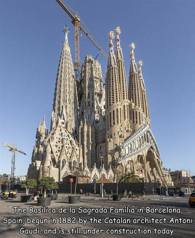 Random Pictures With Captions #30 (36 photos)