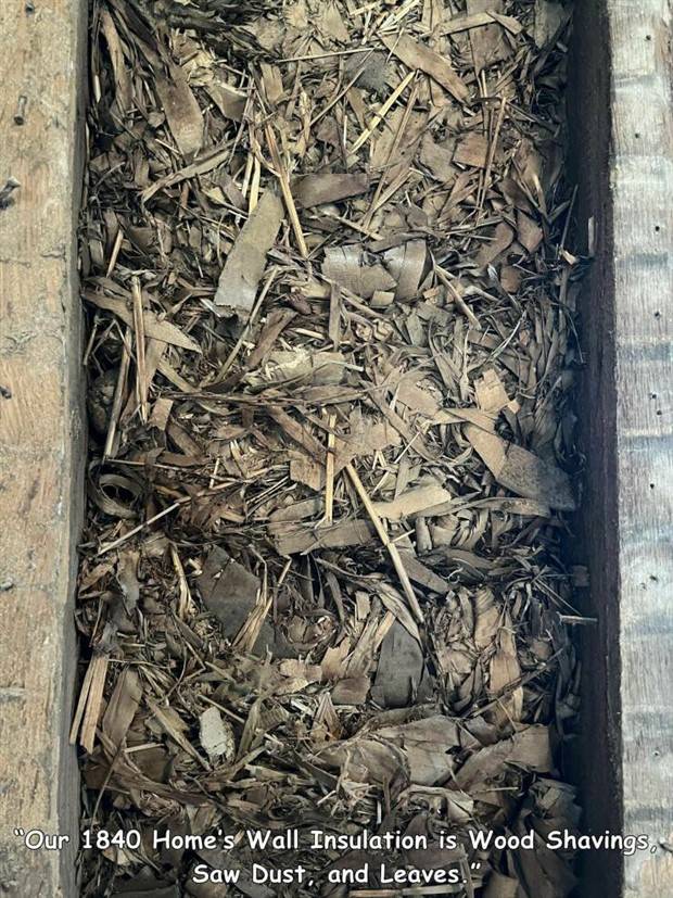 Random Pictures With Captions #30 (36 photos)