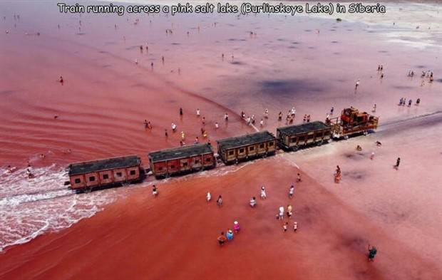 Random Pictures With Captions #30 (36 photos)