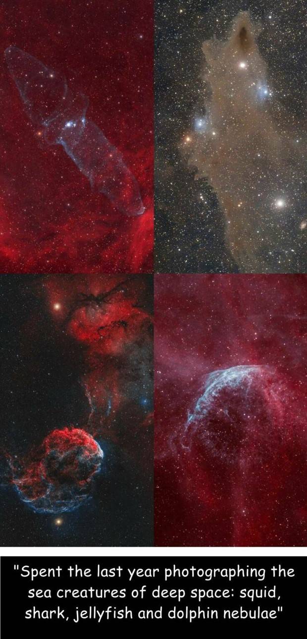 Random Pictures With Captions #30 (36 photos)