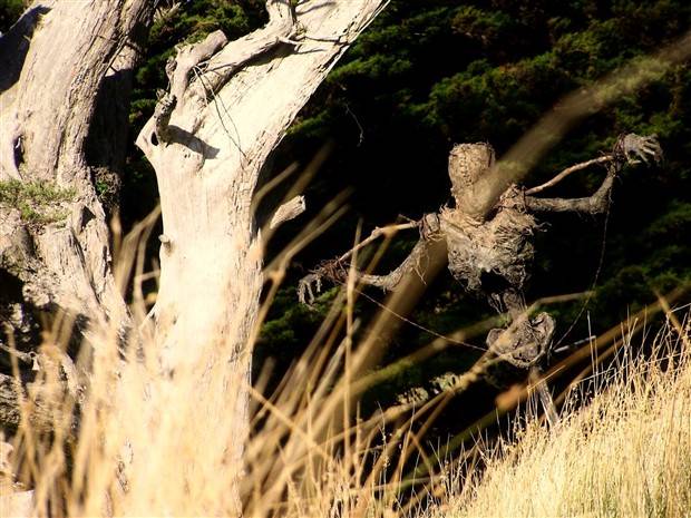 Just A Bunch Of Random Creepy Photos #5 (38 photos)