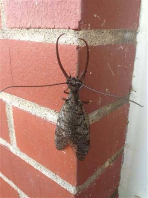 Just A Bunch Of Random Creepy Photos #5 (38 photos)