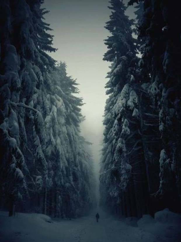 Just A Bunch Of Random Creepy Photos #5 (38 photos)