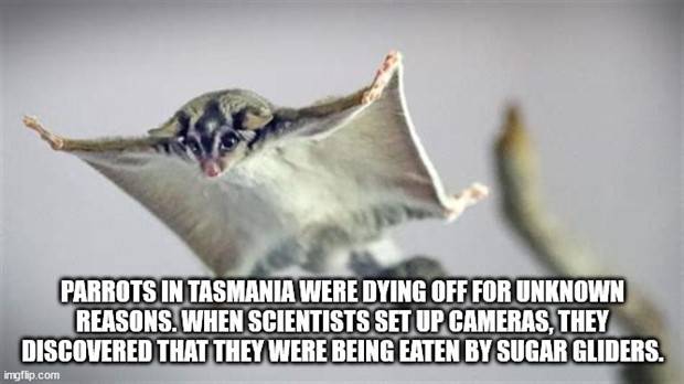 It’s Time For Some Cool And Interesting Facts #304 (33 photos)