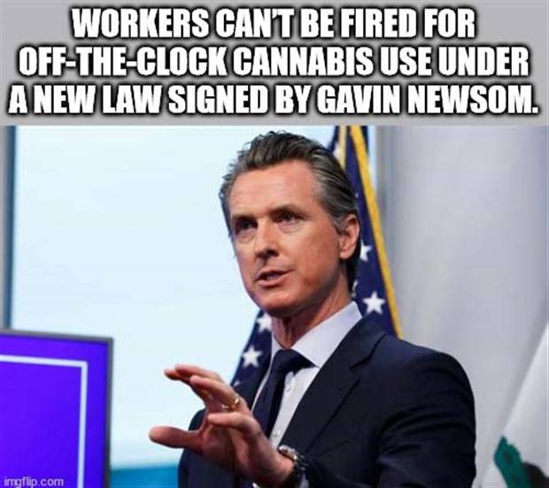 It’s Time For Some Cool And Interesting Facts #304 (33 photos)