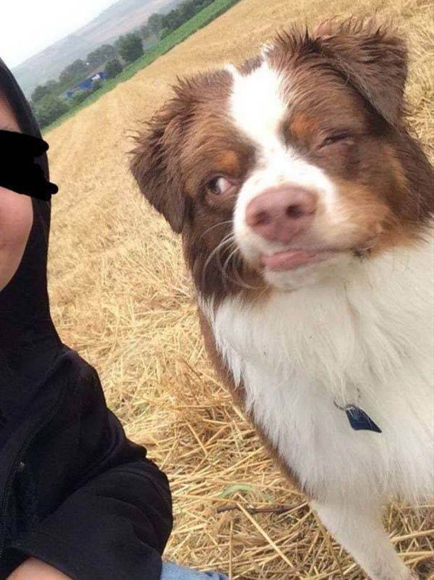 Get Ready For Funny Animals #261 (42 photos)