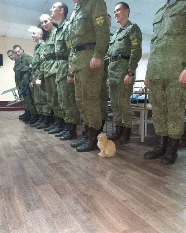 Get Ready For Funny Animals #261 (42 photos)