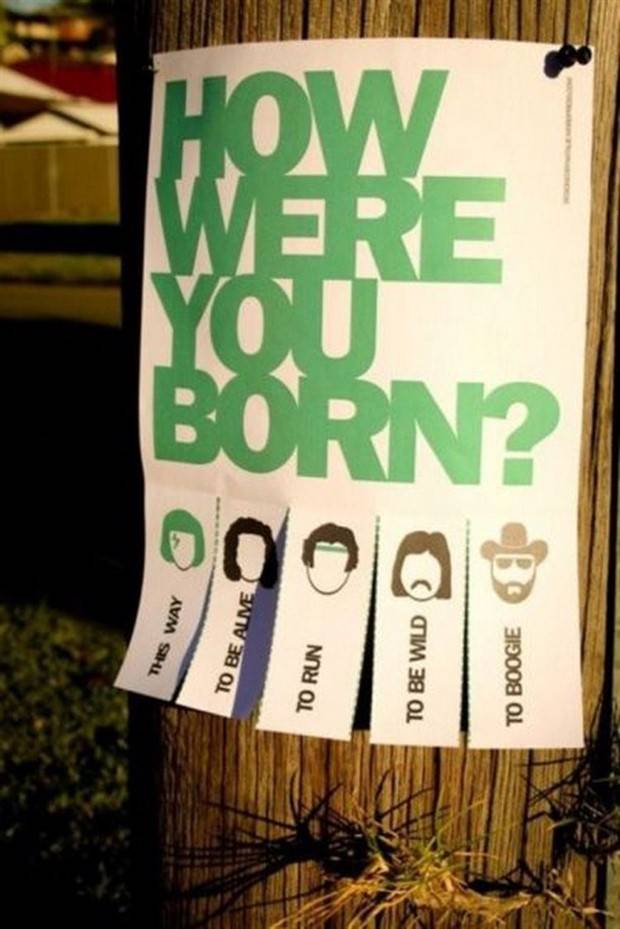 33 Laughable Flyers (33 photos)