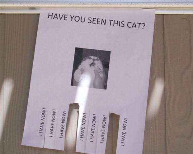 33 Laughable Flyers (33 photos)