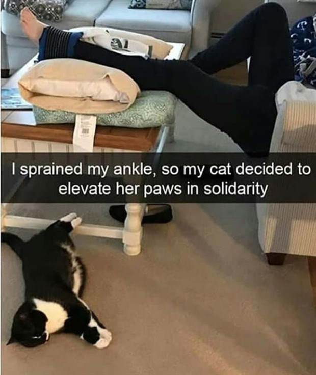 Funny Pics And Memes #29 (45 photos)