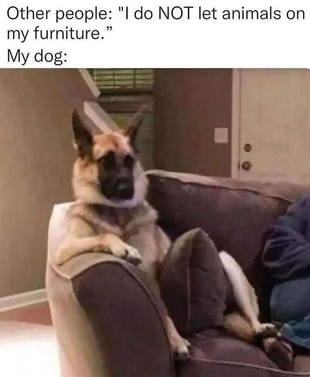 Funny Pics And Memes #29 (45 photos)