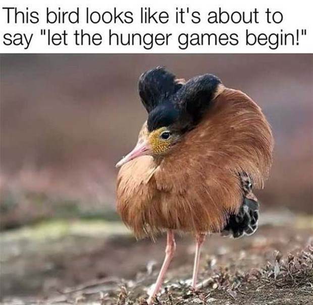 Funny Pics And Memes #29 (45 photos)